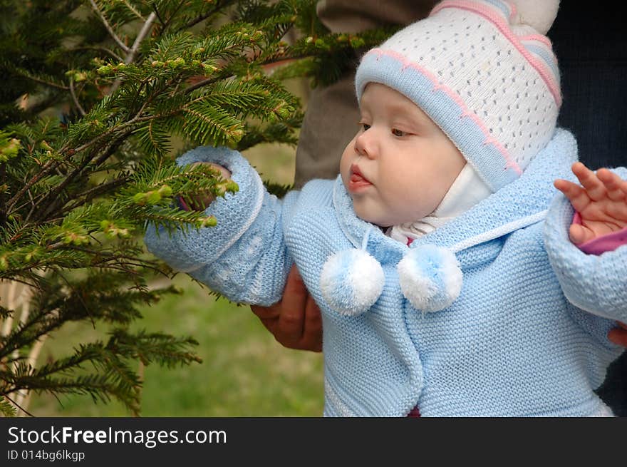 Pretty Little Girl Play With Conifer Branchlets.