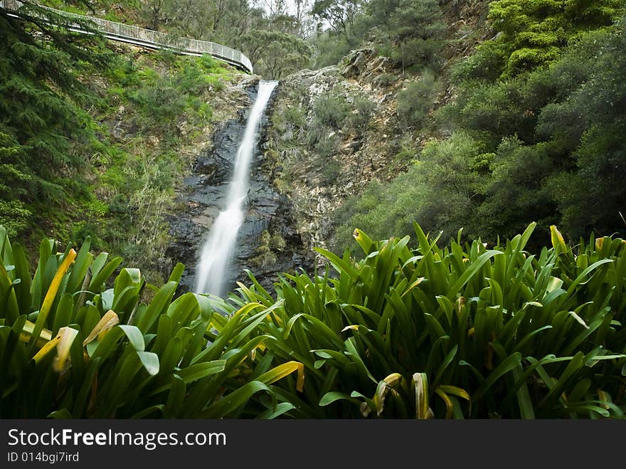 Waterfall with green plants in foreground. Waterfall with green plants in foreground