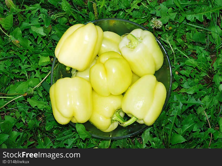 Paprika In Glass Bowl