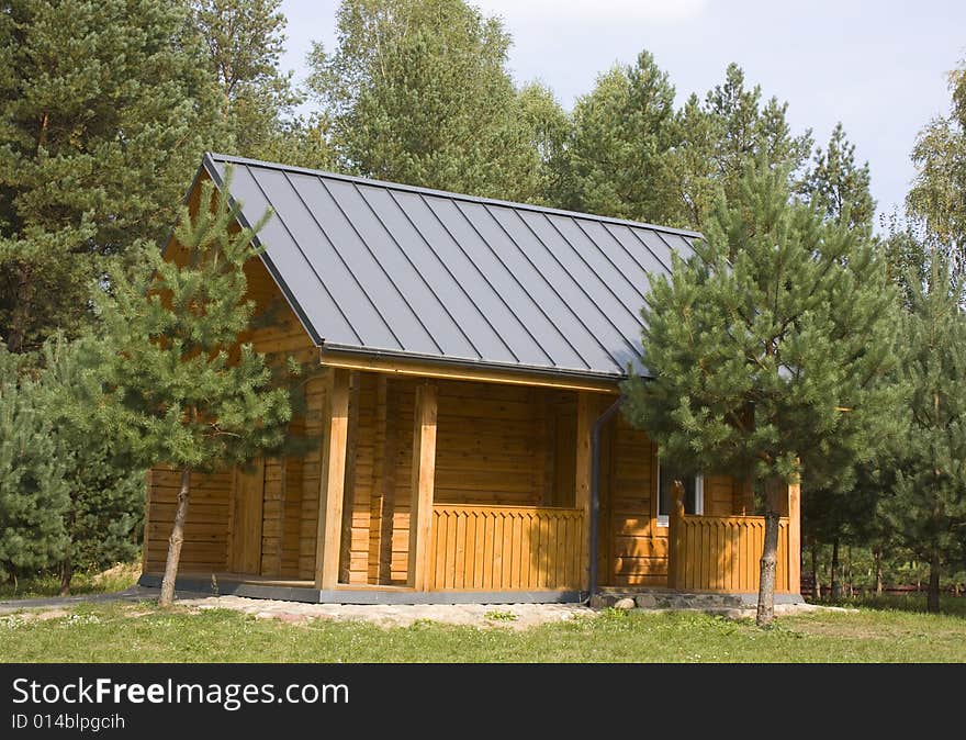 Rural houses,summer tree , Lithuania