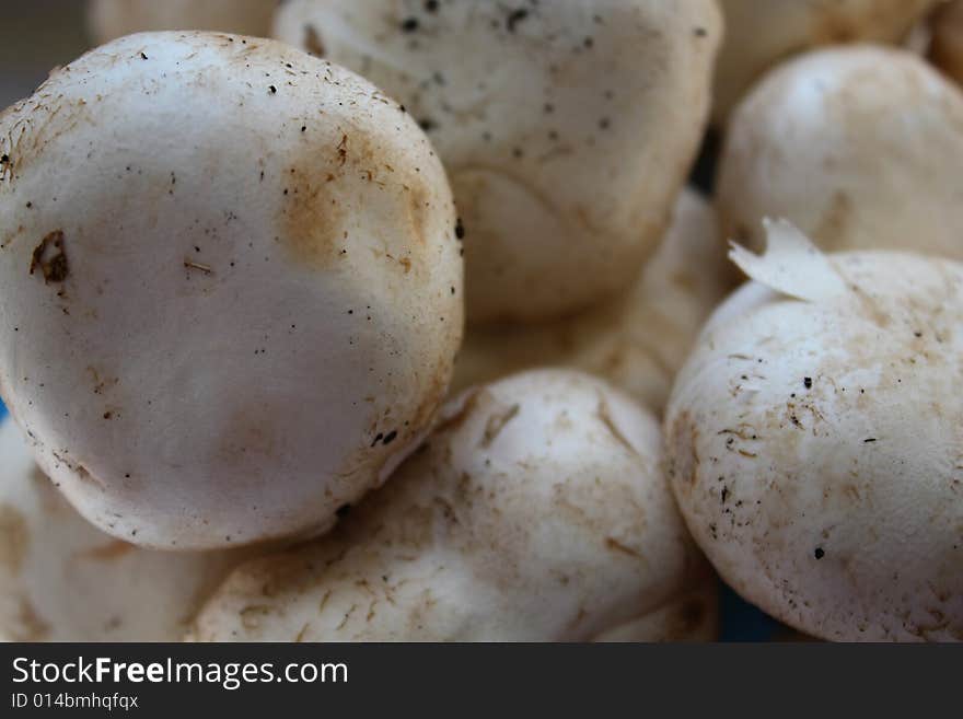 Close up of the raw champignons.