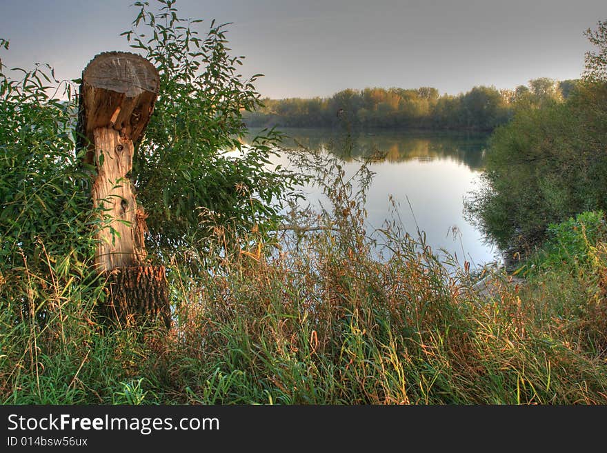 FOGGY RIVER