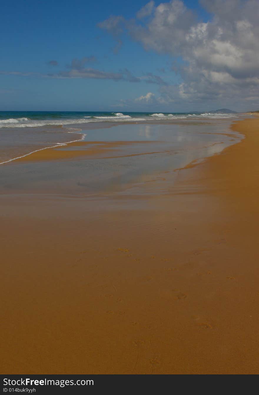 Wet Beach