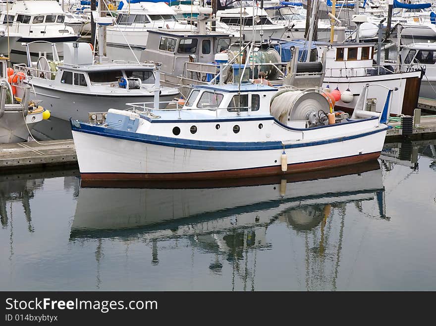 Blue and White Boat in Harbor