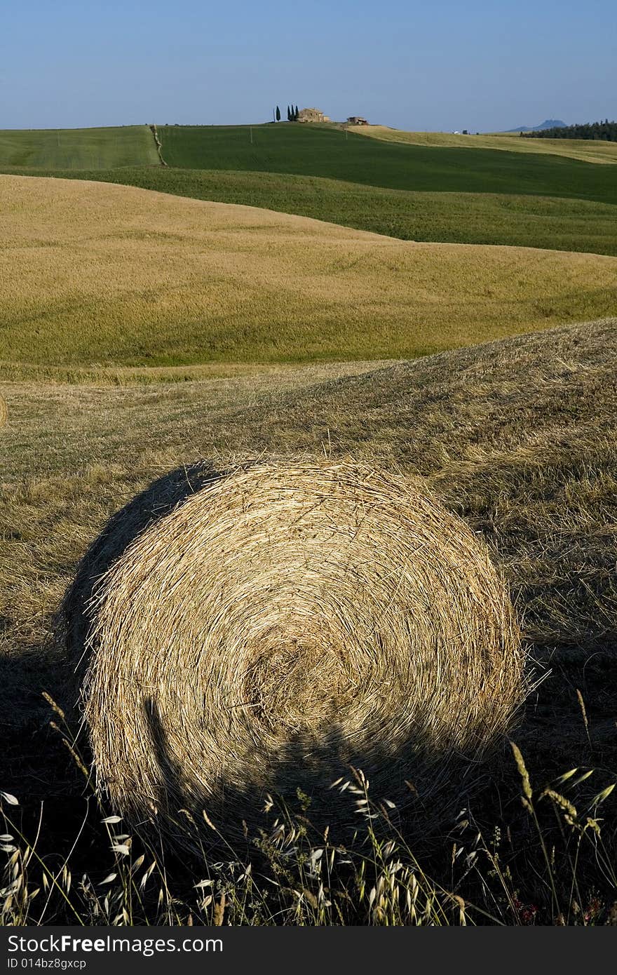 TUSCANY countryside with farms and hay-ball