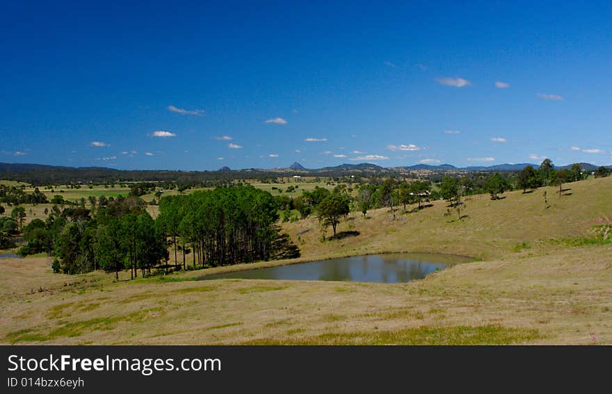 Farm dam with trees