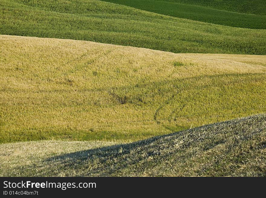 TUSCANY countryside