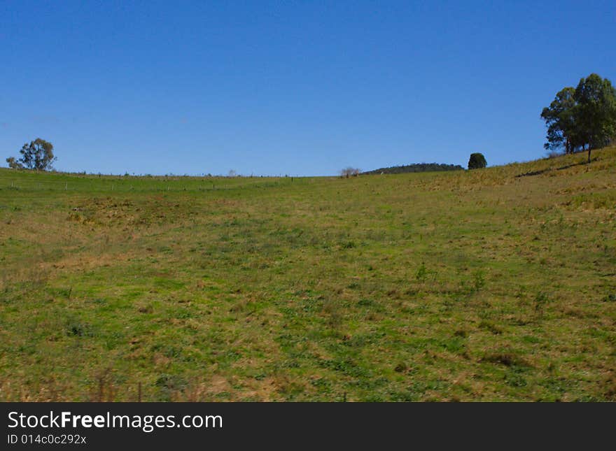 Green field with lovely blue sky