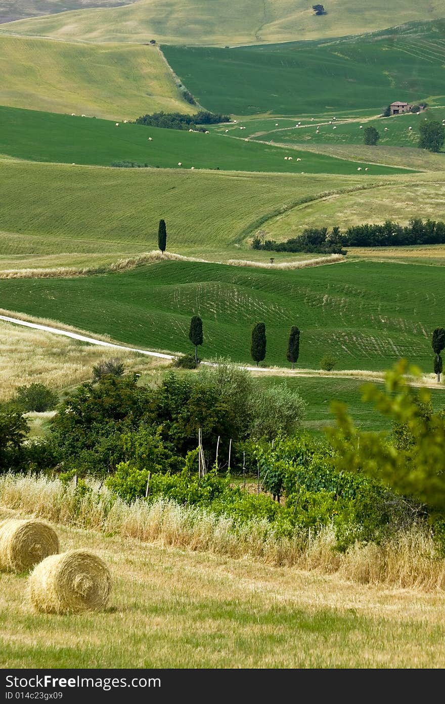 TUSCANY Countryside With Farms And Hay-ball