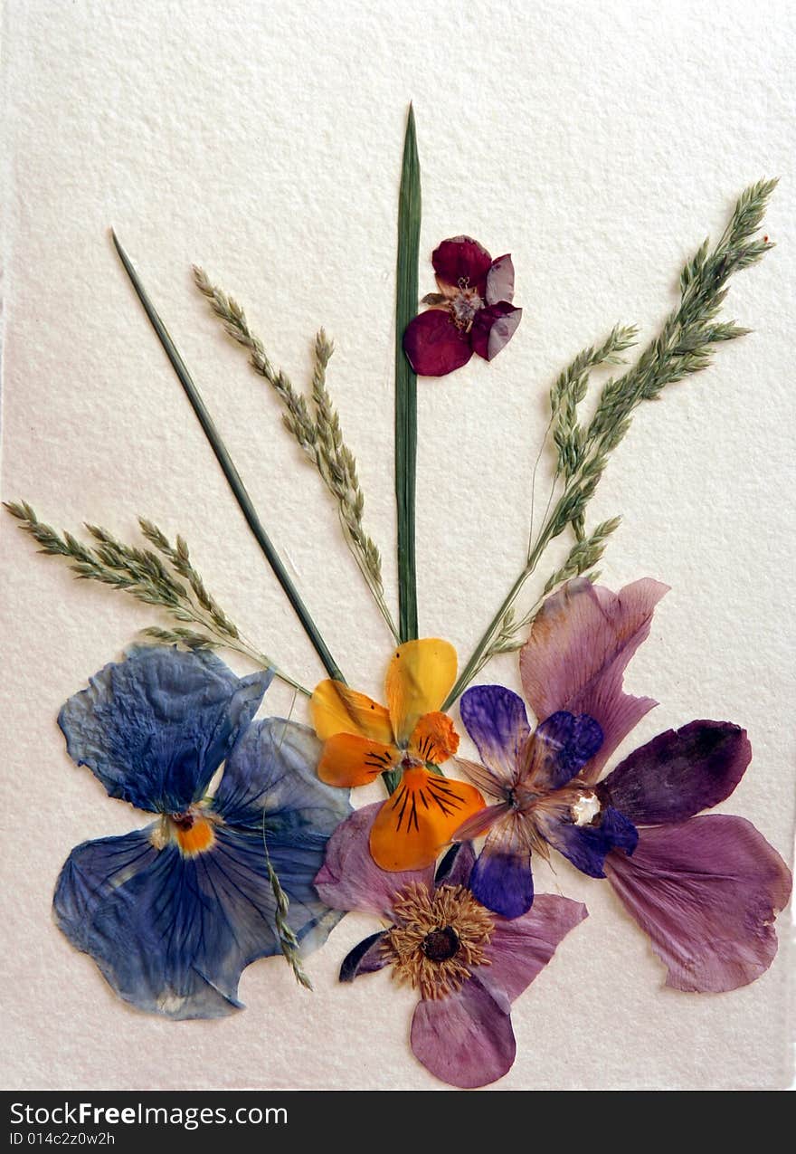 Dried pansies on white paper