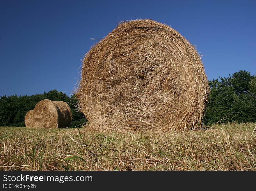 Idyllic field with hay bales in late summer