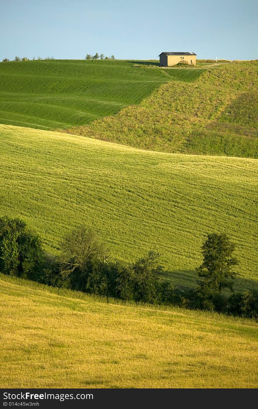 TUSCANY farm