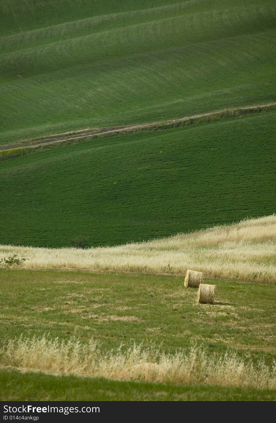 TUSCANY Countryside With Hay-balls