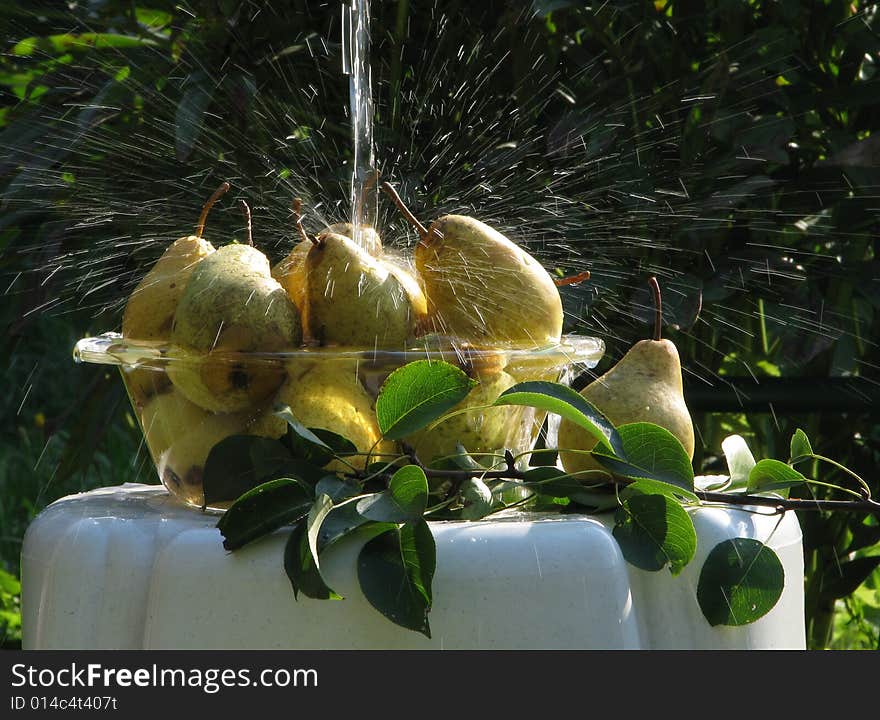 Pears under water stream in sunny day