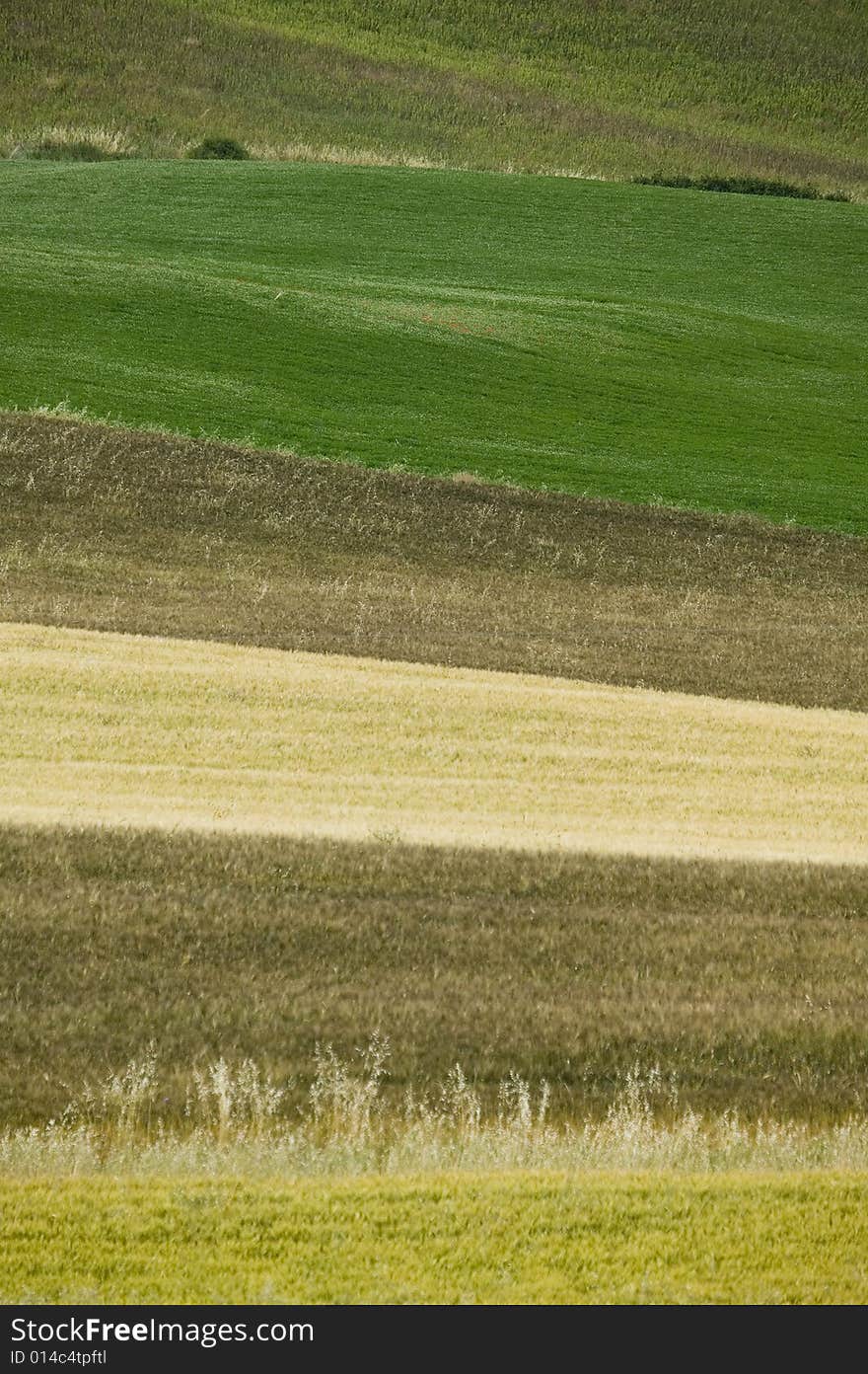 TUSCANY countryside