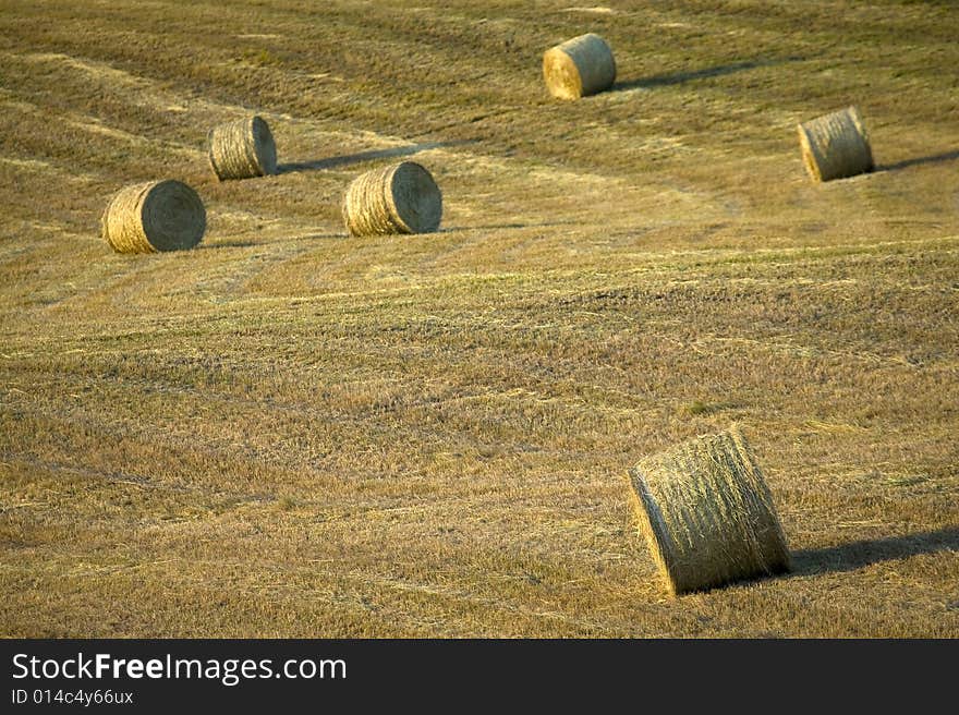 TUSCANY countryside, hay-balls on the meadow