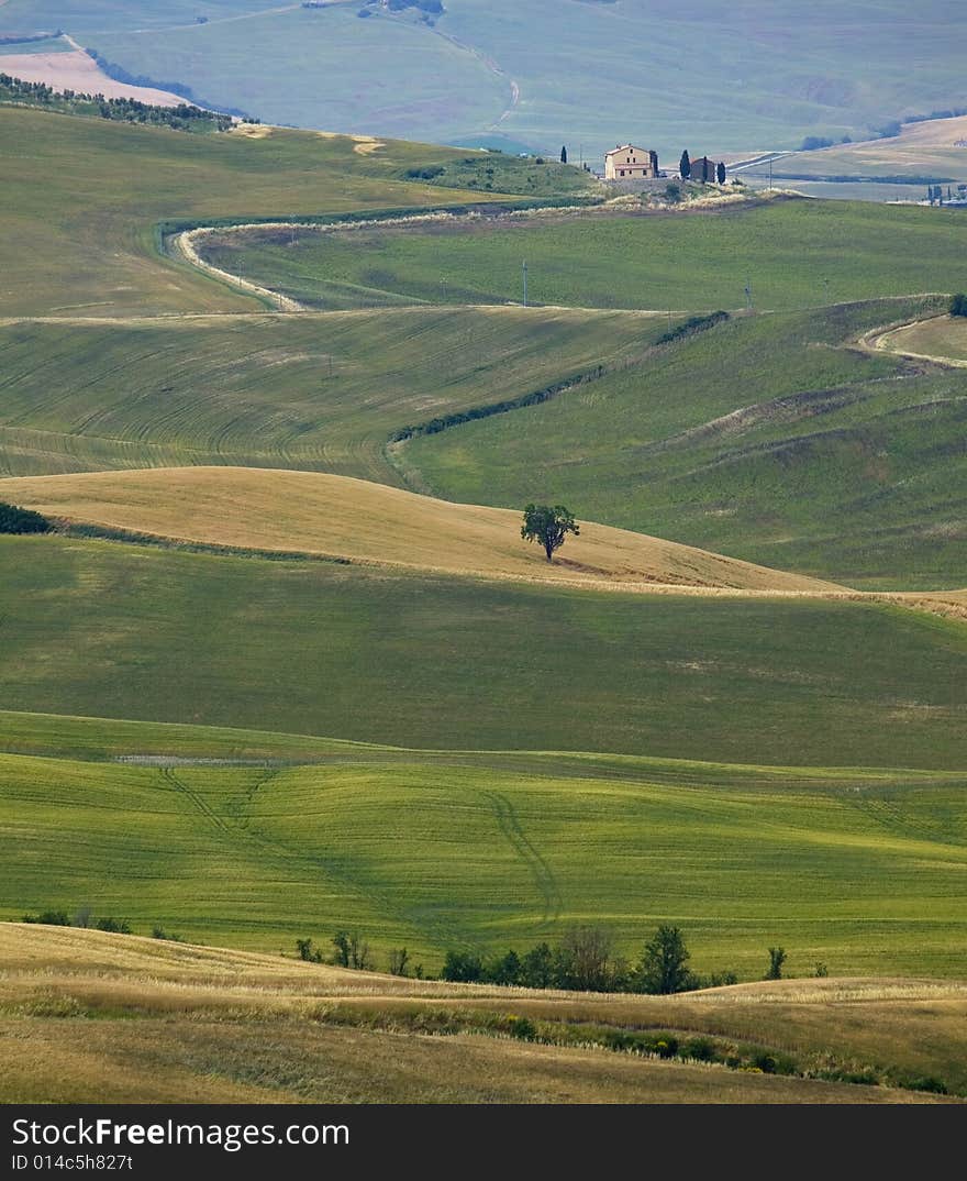 TUSCANY countryside