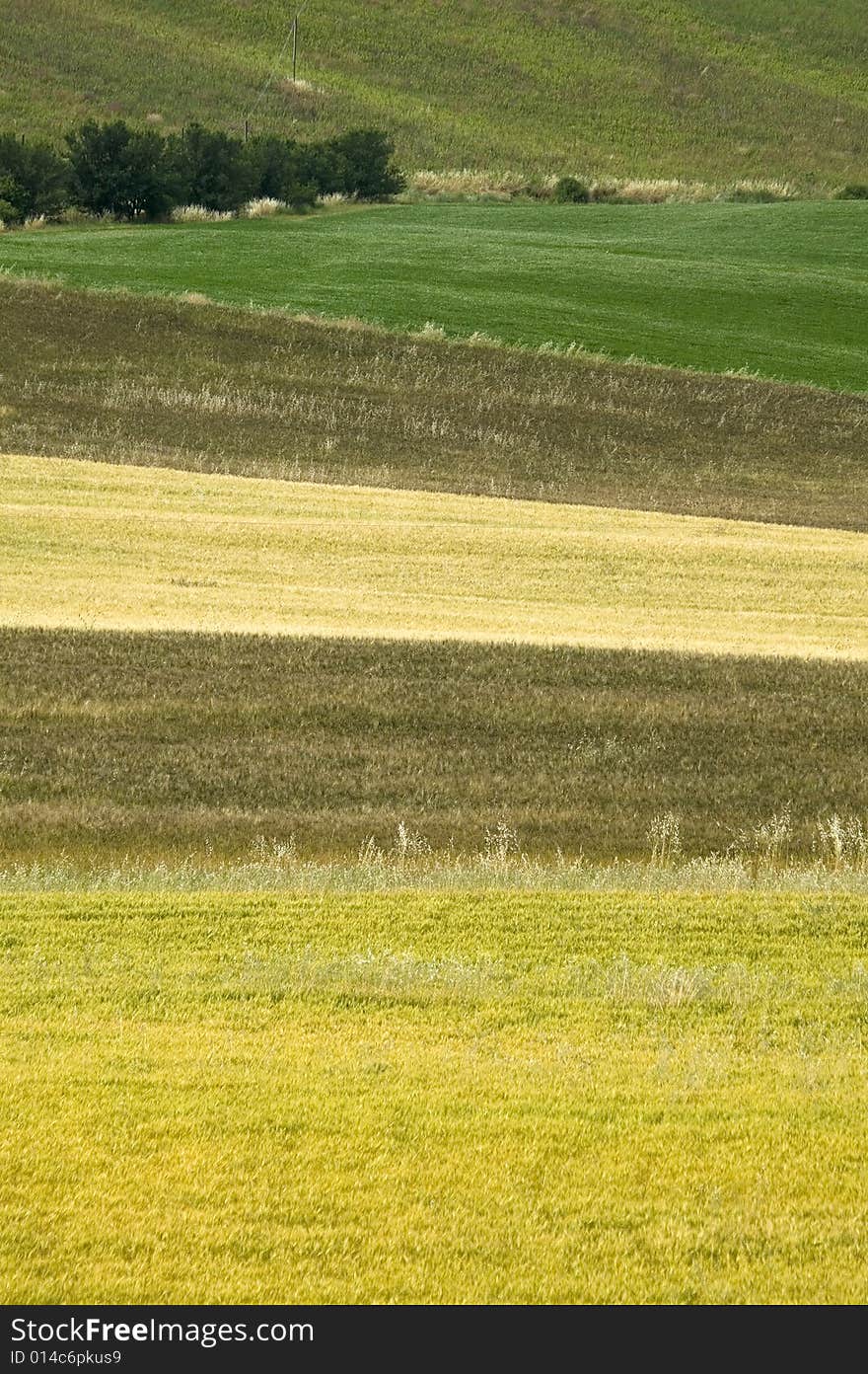 TUSCANY countryside