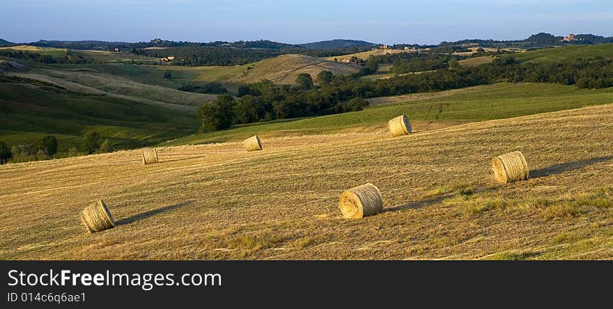 TUSCANY countryside, hay-balls on the meadow