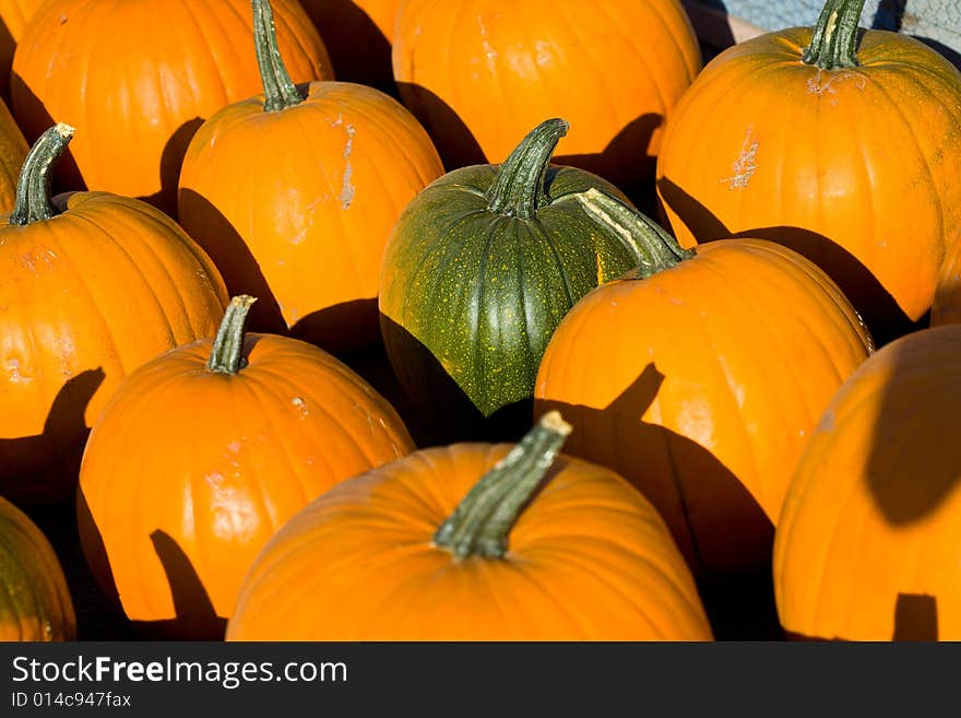 Ripe pumpkins on the farm