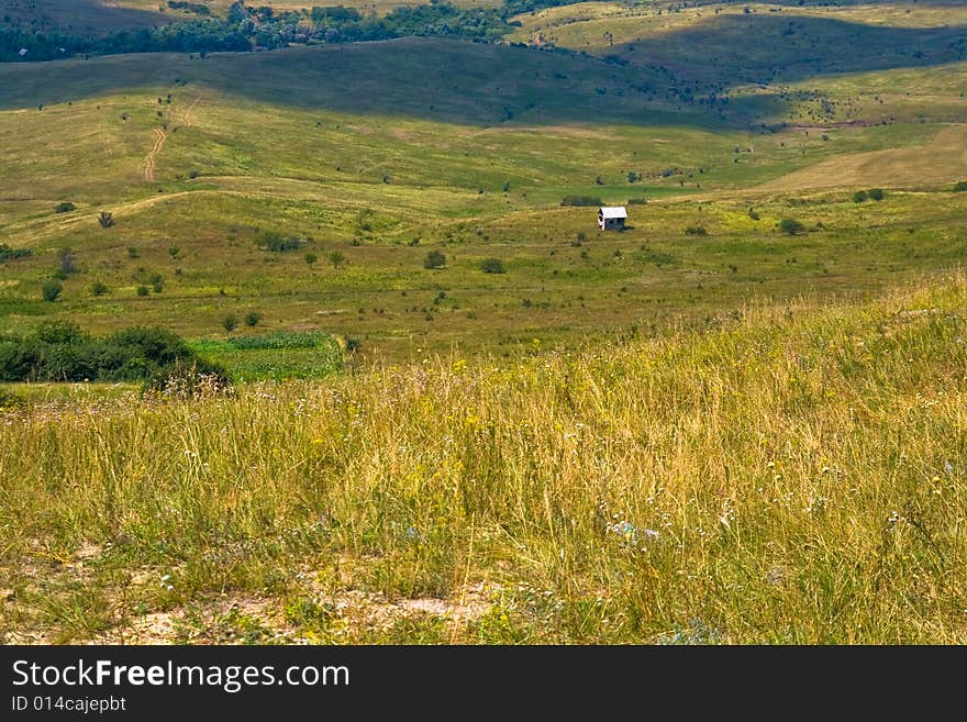 Summer landscape with single house in field