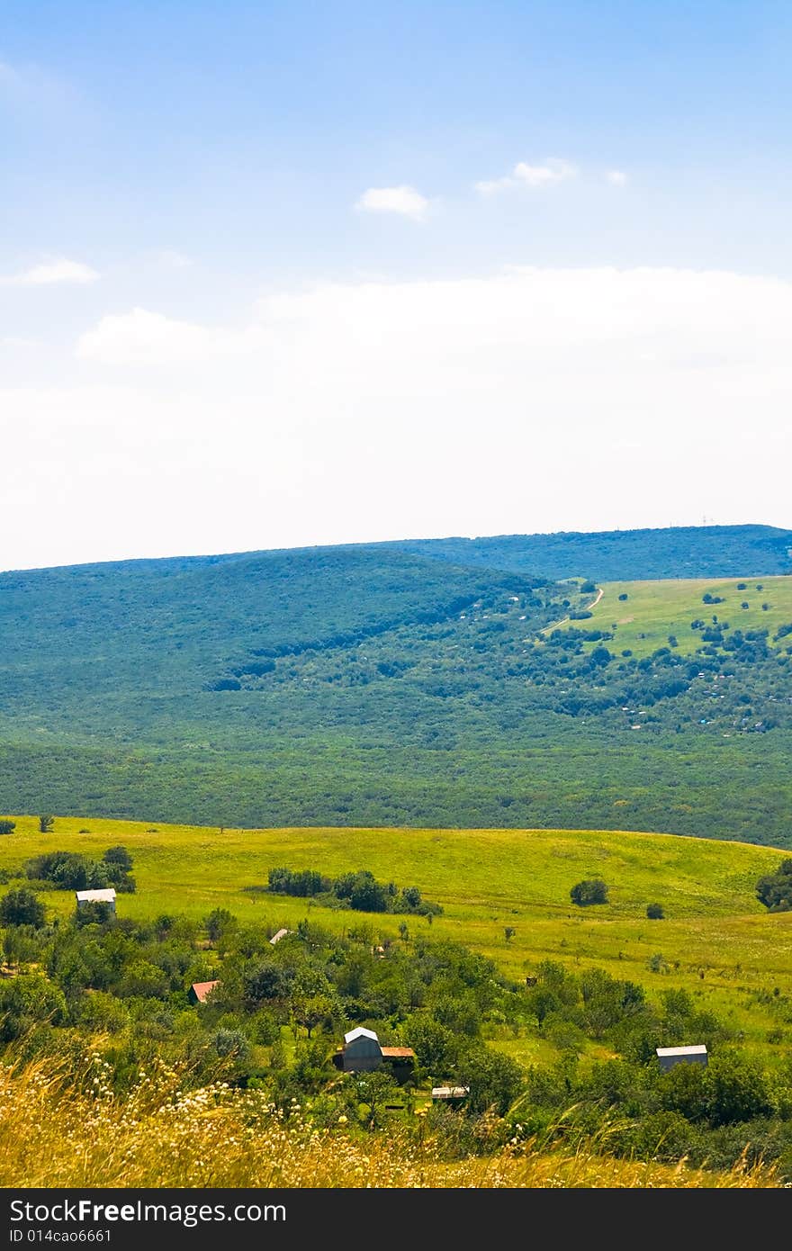 Summer landscape