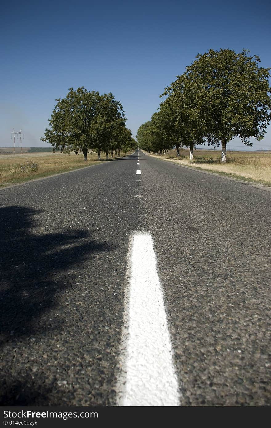 Long Road surrounded by trees Middle Of The Road. Long Road surrounded by trees Middle Of The Road