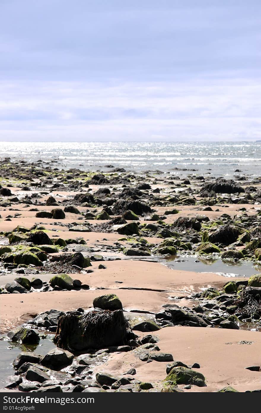 Sea weed covered rocks on beale beach co kerry ireland on a cold winters morning. Sea weed covered rocks on beale beach co kerry ireland on a cold winters morning