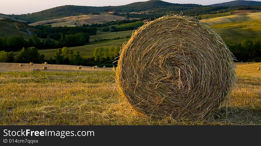 TUSCANY countryside with hay-balls