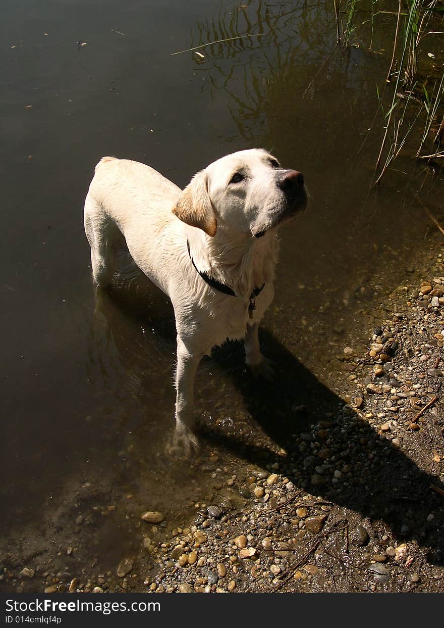 Edy is waiting for a ball