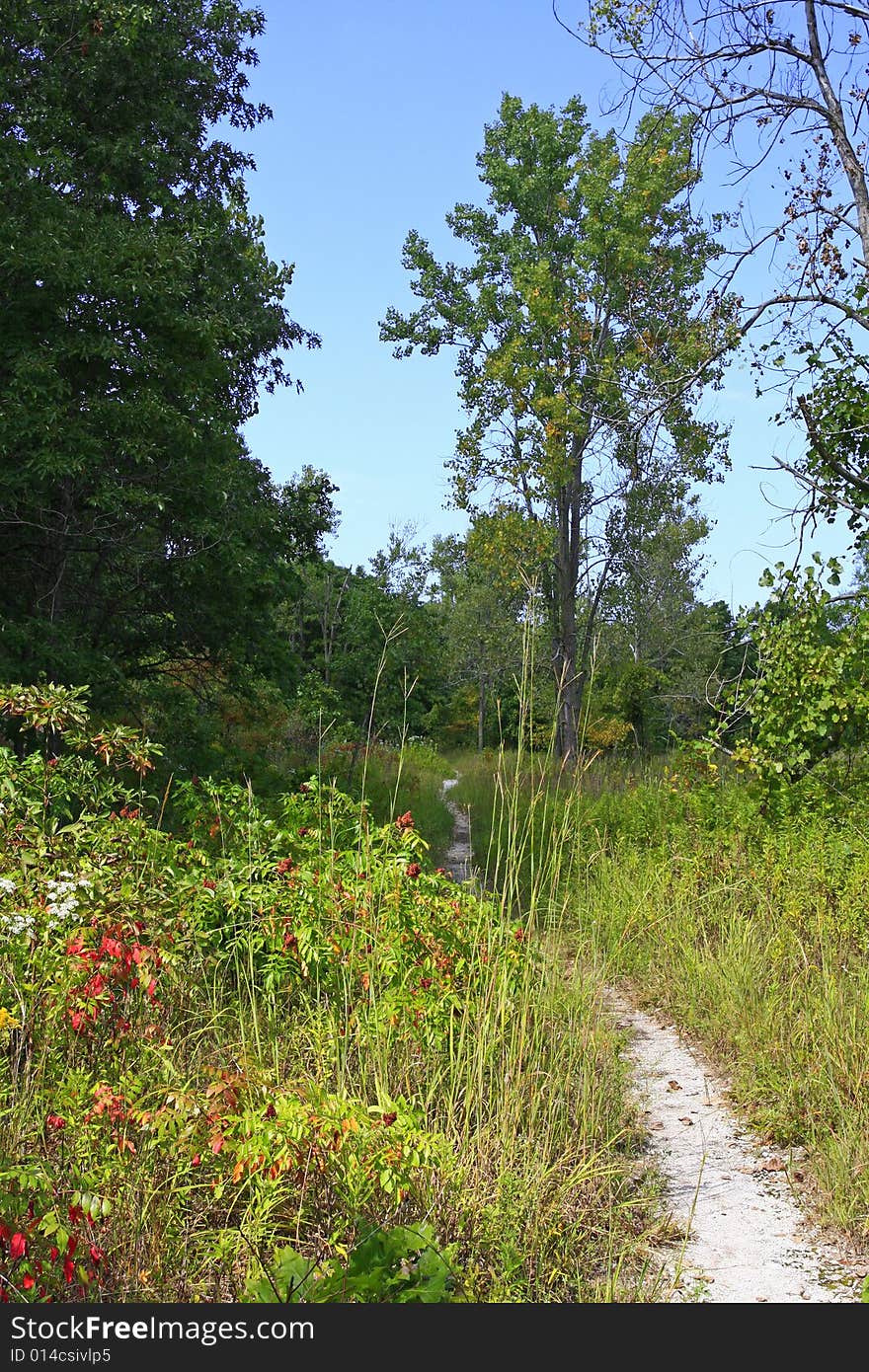 Hiking trail on inland marsh