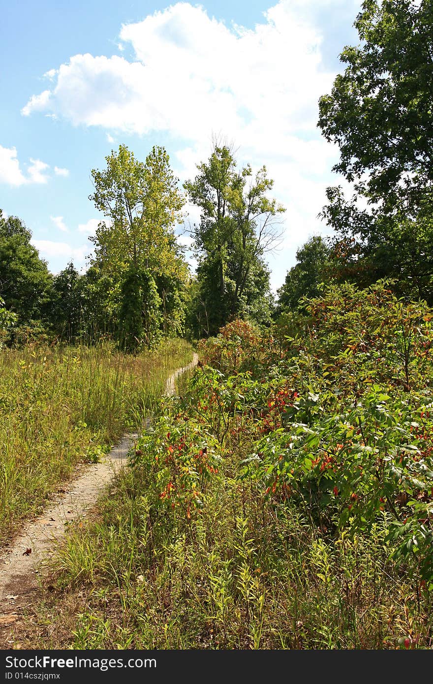 South Hiking Trail