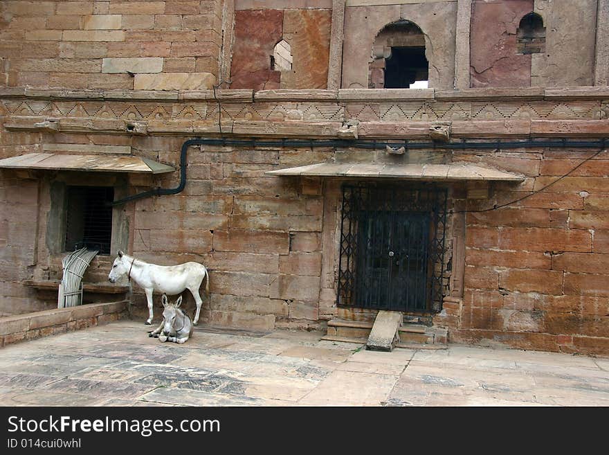 Mulan in the Gwalior Fort, near Agra, India. Mulan in the Gwalior Fort, near Agra, India