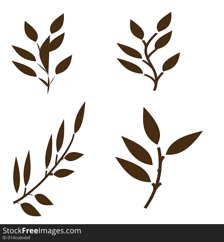 Black  shaped leaves on white background