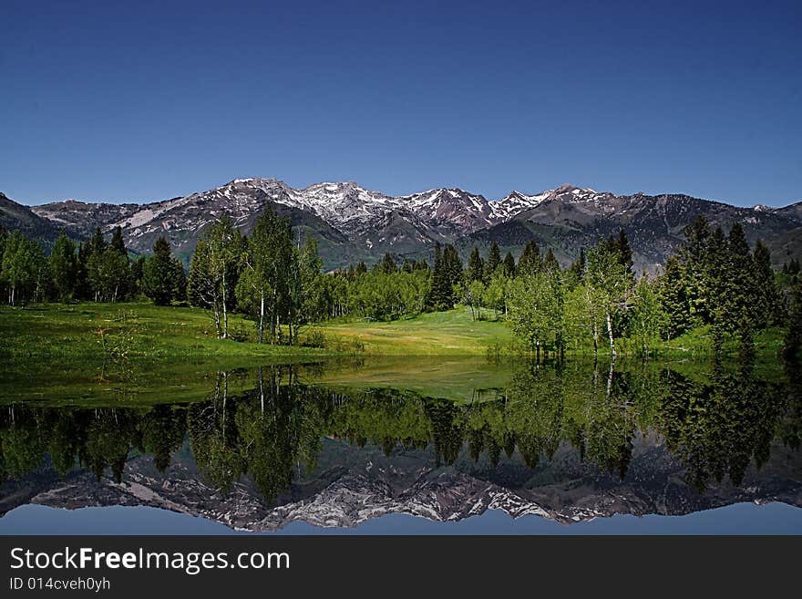 Mountain Flat in the spring showing all the colors with mountains in the background. Mountain Flat in the spring showing all the colors with mountains in the background