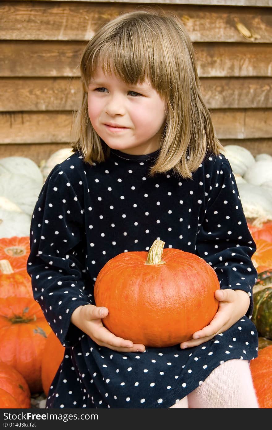 The girl in a dress sits and holds an orange pumpkin. The girl in a dress sits and holds an orange pumpkin