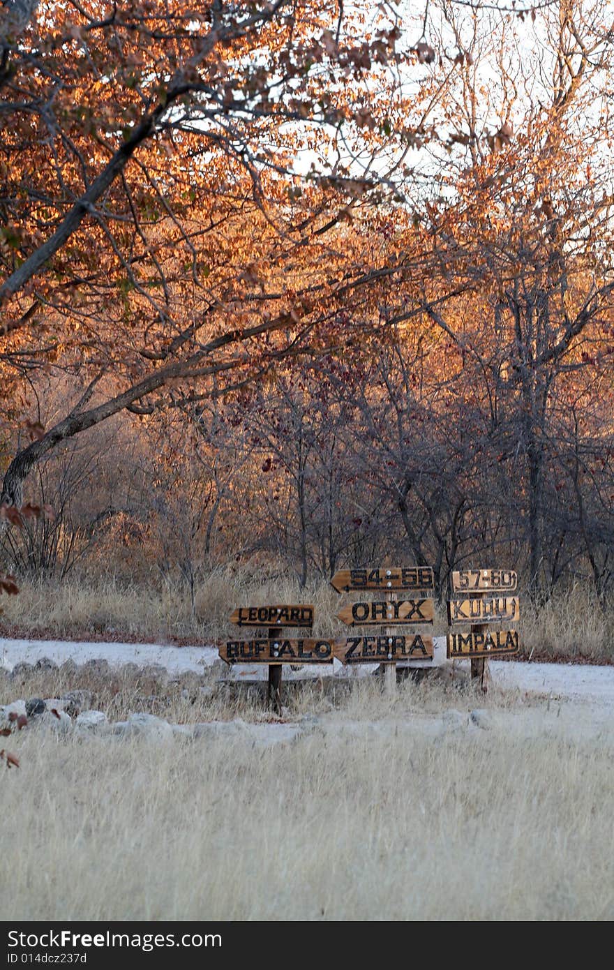 Road Sign In The Namibian Bush