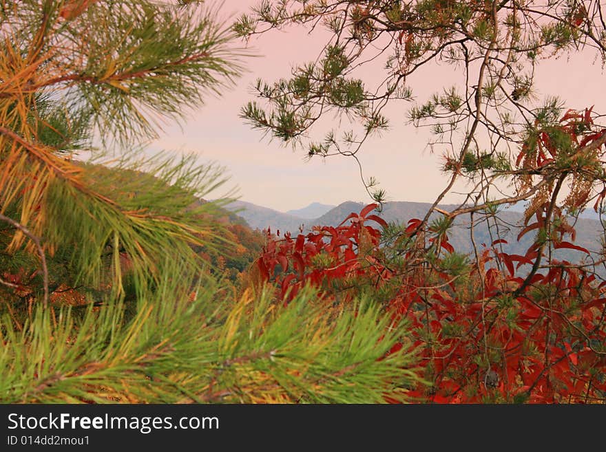 Window of autumn foliage forefront  peering through foliage to the Great Smoky Mountains layered in the background. Window of autumn foliage forefront  peering through foliage to the Great Smoky Mountains layered in the background