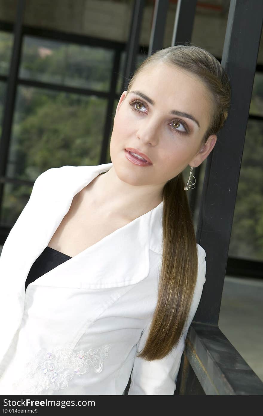 Picture of young focused business woman. Picture of young focused business woman