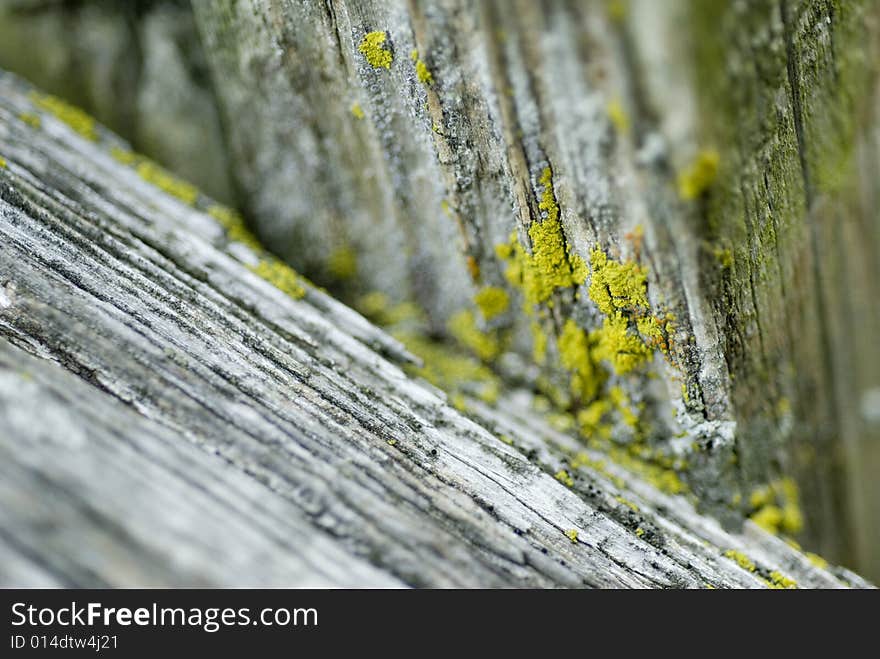 Speckles of yellow paint  on wood. Speckles of yellow paint  on wood