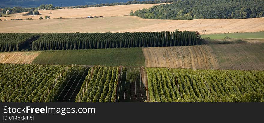 Hop field country