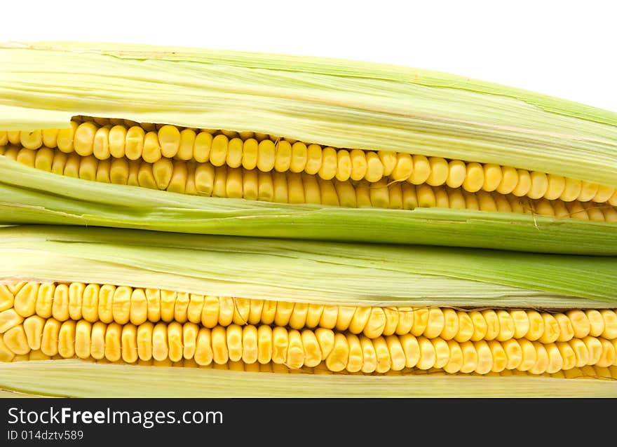 Two yellow corns on white background