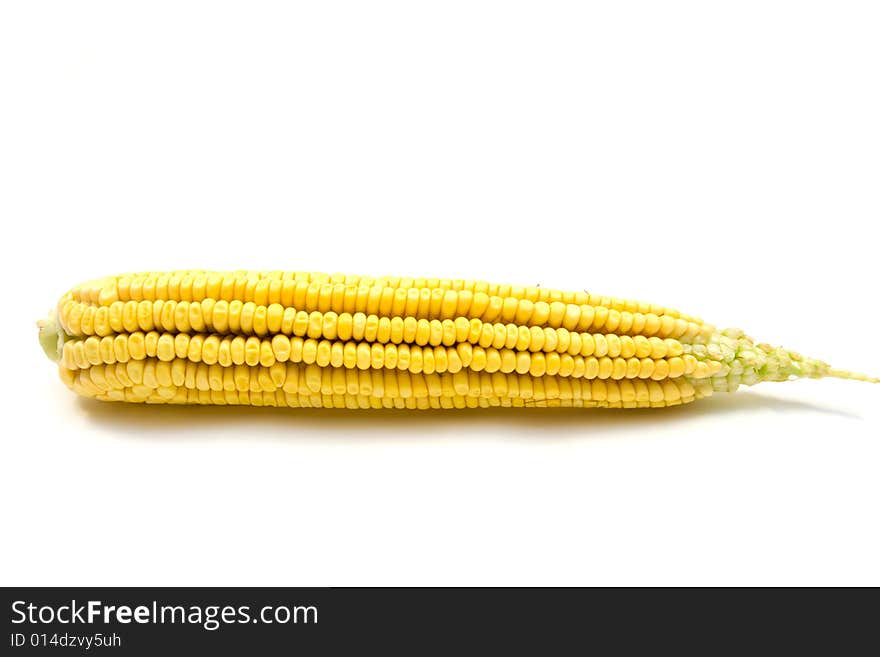 Fresh Yellow Corn