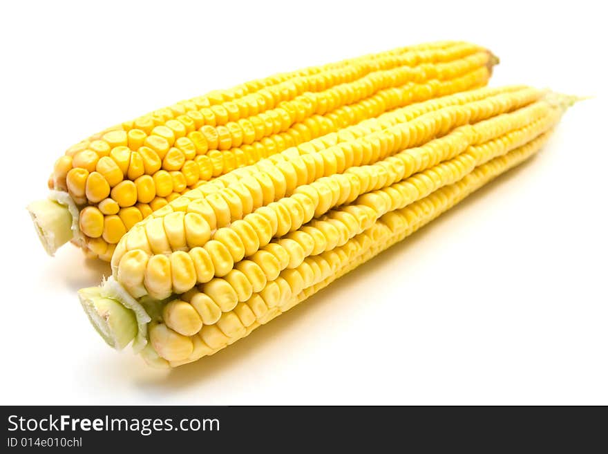 Two fresh yellow corns