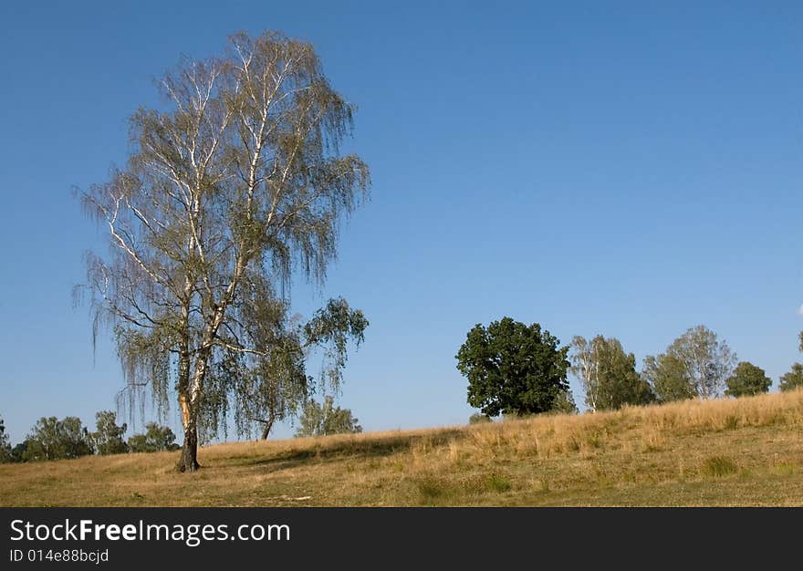 Beautiful cloudless landscape in a fall day. Beautiful cloudless landscape in a fall day