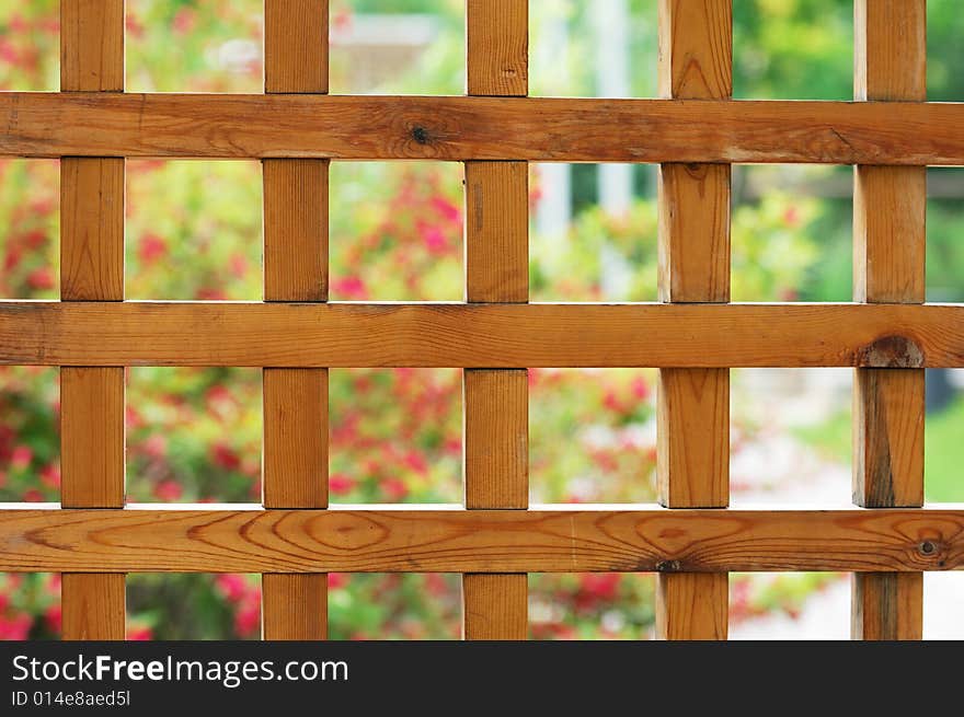 Portrait image of a garden lattice. Portrait image of a garden lattice.