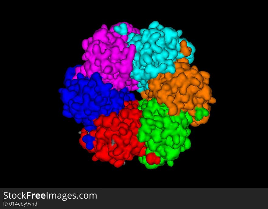 Crystal Structure of Circadian Clock Protein KaiC