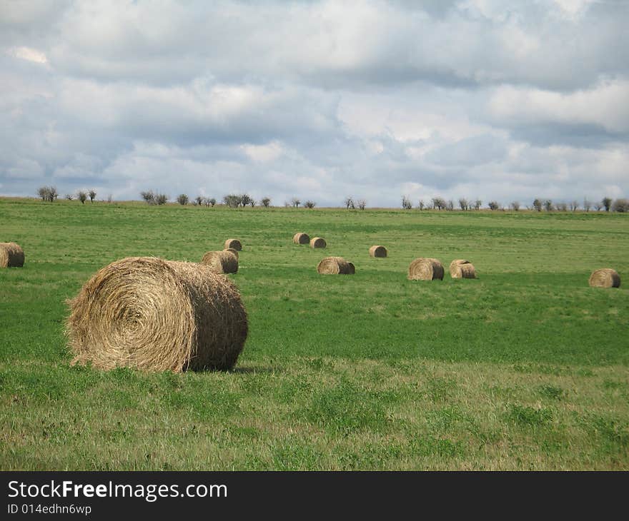 Bales of hay in a green wide field