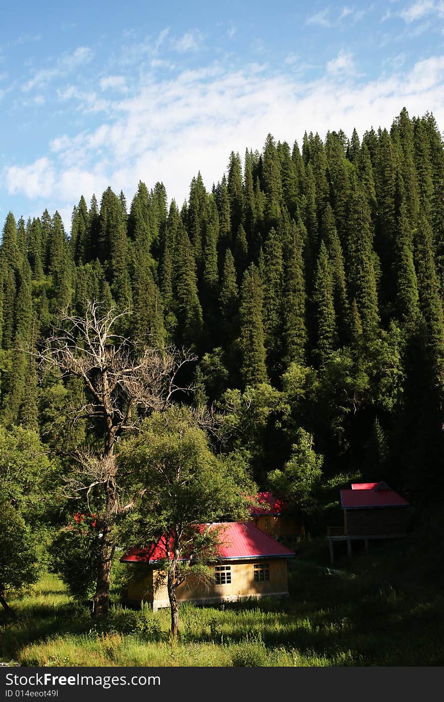 Clouds, forest and villa