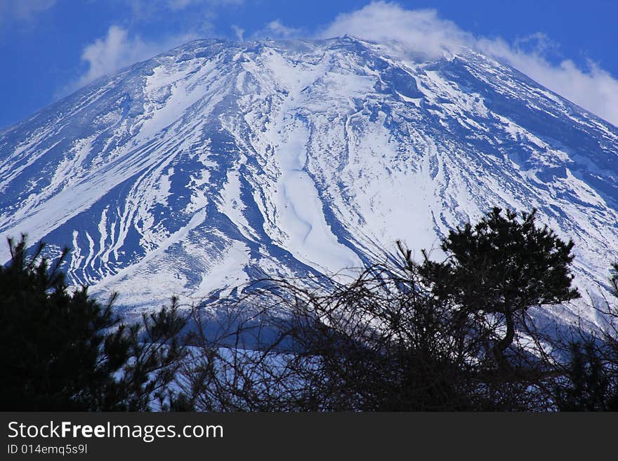 Mt. Fuji From Asagiri